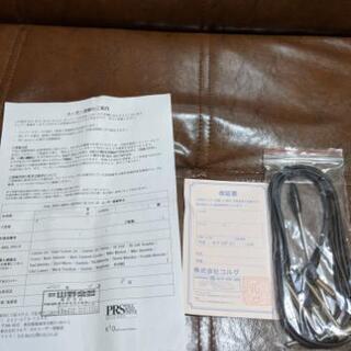 PRS SE Custom 24の画像