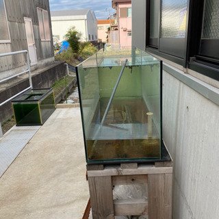 #NK錦鯉　90センチ水槽　2本有りですが1本の値段です。の画像