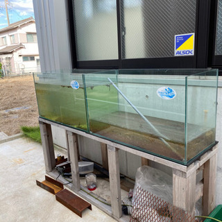 #NK錦鯉　90センチ水槽　2本有りですが1本の値段です。の画像