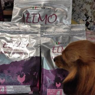 ドッグフードELMOエルモ　幼犬用です。の画像