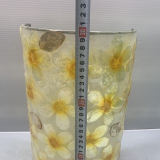 未使用/バリ雑貨/アジアン雑貨/壁掛け/プルメリア/照明/ルームライトの画像