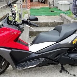 MF11　ホンダ　フェイズ