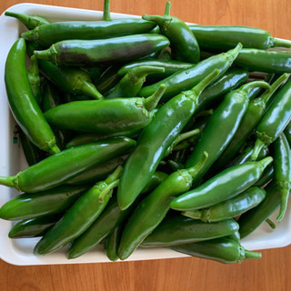 ハラペーニョ　10本　青唐辛子　野菜　辛い