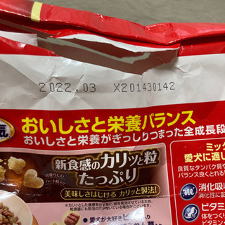 ワンチャンの餌の画像