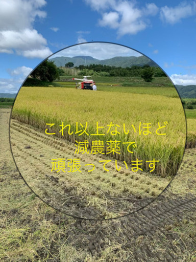 新米　キヌヒカリ　30キロ