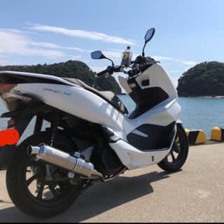 PCX125 jf81 2019年12月登録の画像
