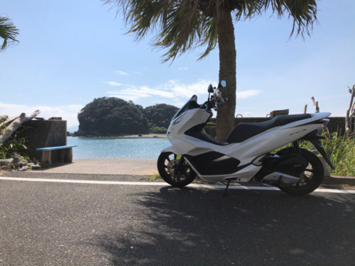 PCX125 jf81 2019年12月登録