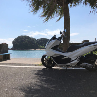 PCX125 jf81 2019年12月登録の画像