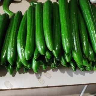 🥒新鮮野菜、販売中❗ in セブンイレブン南八木店