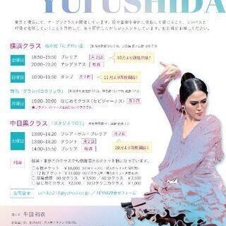 ★1000円引！★はじめてのフラメンコ体験♪1月18日、25日の画像