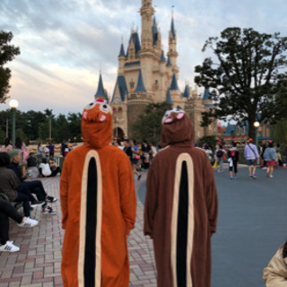 チップとデールの着ぐるみ大人用の画像