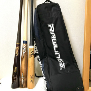 緊急放出。新品バット&キャリーケース。