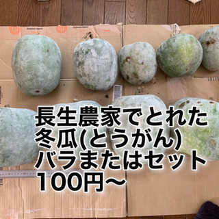 長生農家で収穫した【訳あり】冬瓜(とうがん)バラ売りまたはセット...