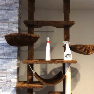 【決まりました】キャットタワーの画像