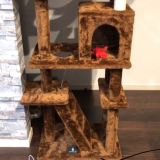【決まりました】キャットタワーの画像