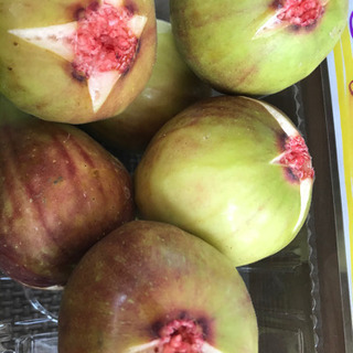花イチジク　550円