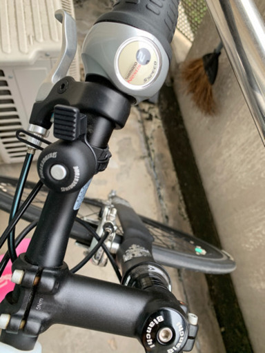 Bianch 2014年製ダルミネ　700×23inch