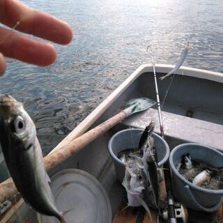 海の手漕ぎボートや船等の沖釣り仲間募集!