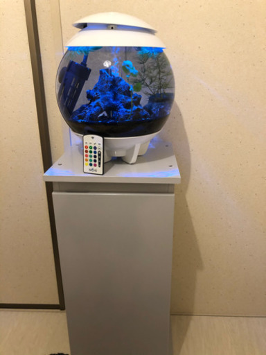 【ありがとうございました】丸型水槽　バイオーブハロ⭐︎水槽台⭐︎ヒーターセット