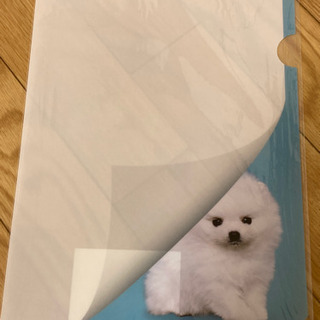 《非売品》お父さんクリアファイル3枚セット　新品未開封品の画像