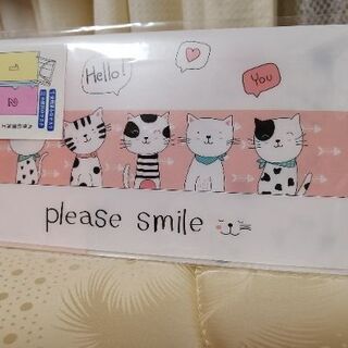 ※おまけ付けました※猫柄のマスクケースと(Kaneboマイルドシ...