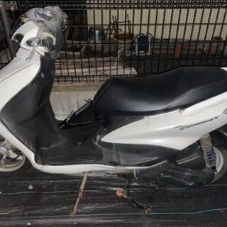 シグナス　実働の画像