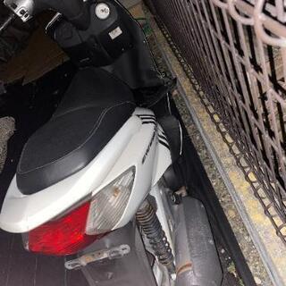 シグナス　実働の画像