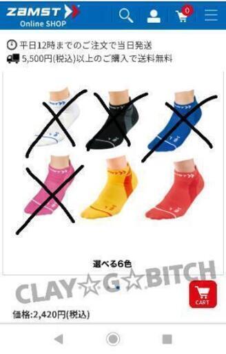 【ZAMST】ザムスト ランニングソックス [公式ホームページより]新品未使用 マラソンソックス