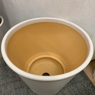 陶器の鉢