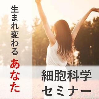 ②36歳パート未婚女性に贈る新しい生き方『細胞再生の資格』