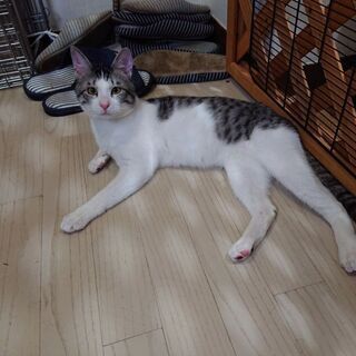 足の長い美少年❣️