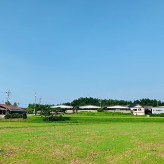 松阪まるよし玉城牧場での松阪牛の肥育管理 正社員募集の画像