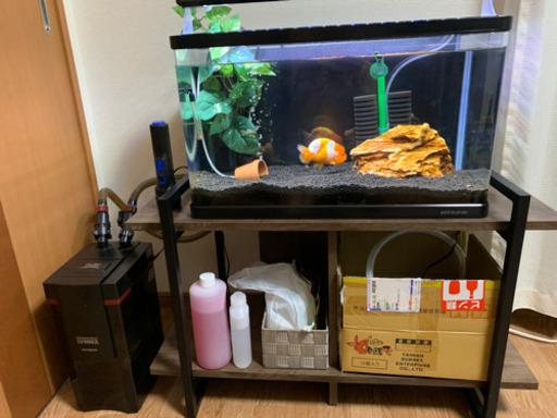 60水槽セット、値下げしました