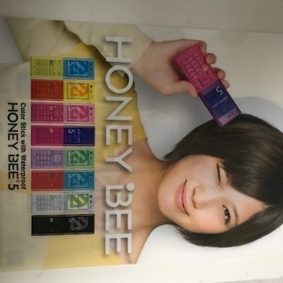 本田翼のクリアファイルの画像