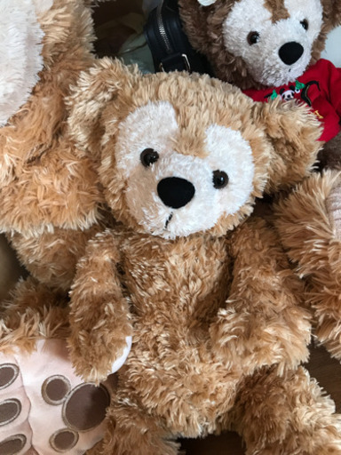 カラー ダッフィー WDW クリーム ビーズ入り ディズニーベア ぬいぐるみ