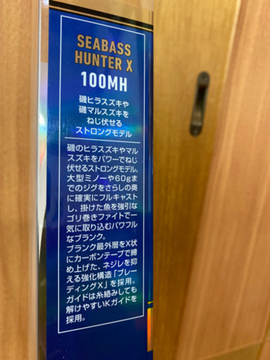 ダイワ　シーバスハンターX 100MH