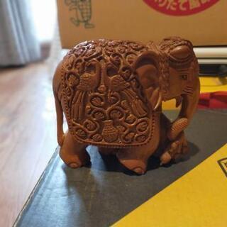 インド象 🐘 サンダルウッド