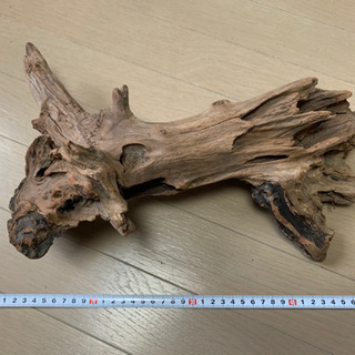 流木その2