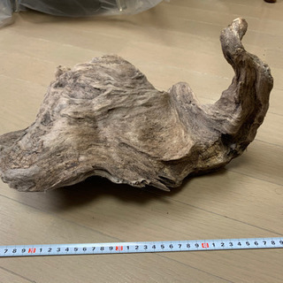 流木その3