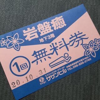 エナジックスポーツワールドサザンヒル★岩盤癒1回無料券
