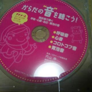 からだの音を聴こう