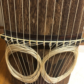 琴 13弦(爪もあり)の画像