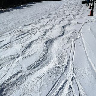 【スキーチーム】東京Free Ride　 (スキー⛄大好き・・モーグル、BC、Air、Park、FreeSki)のメンバー募集 - 三鷹市