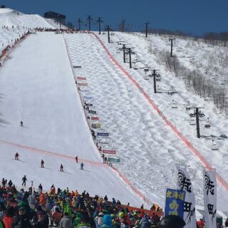【スキーチーム】東京Free Ride　 (スキー⛄大好き・・モーグル、BC、Air、Park、FreeSki)のメンバー募集 - スポーツ