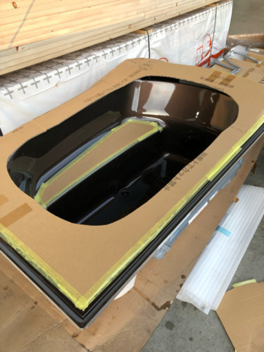 浴槽 メダカ 金魚