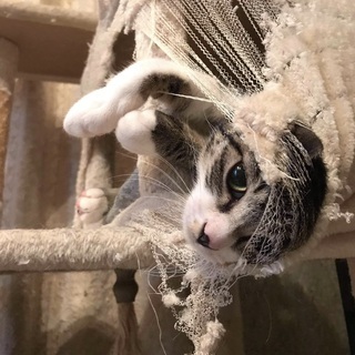 みんと♡家族ができました