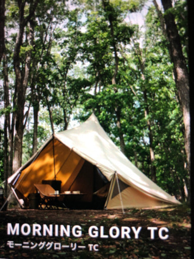 サバティカル　モーニンググローリー販売します