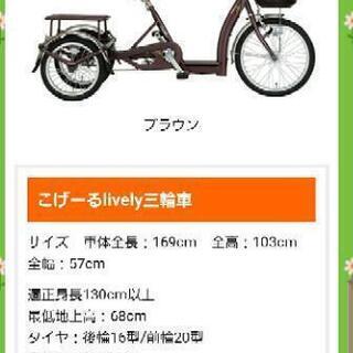 高齢者用三輪車　こげーるくん　ほぼ新品