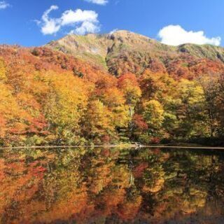 土曜日と祝日にツーリングしてくれる方❗