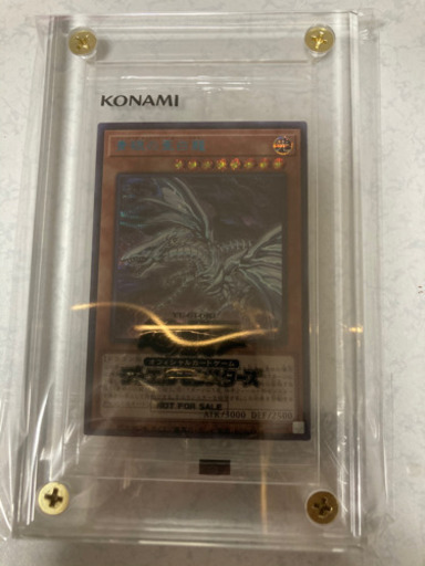 オルタナ　ブルシク